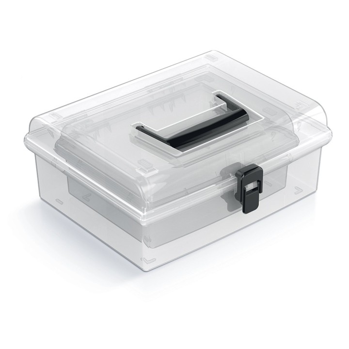 Aufbewahrungskoffer transparent mit Griff, 2er-Set (flach)